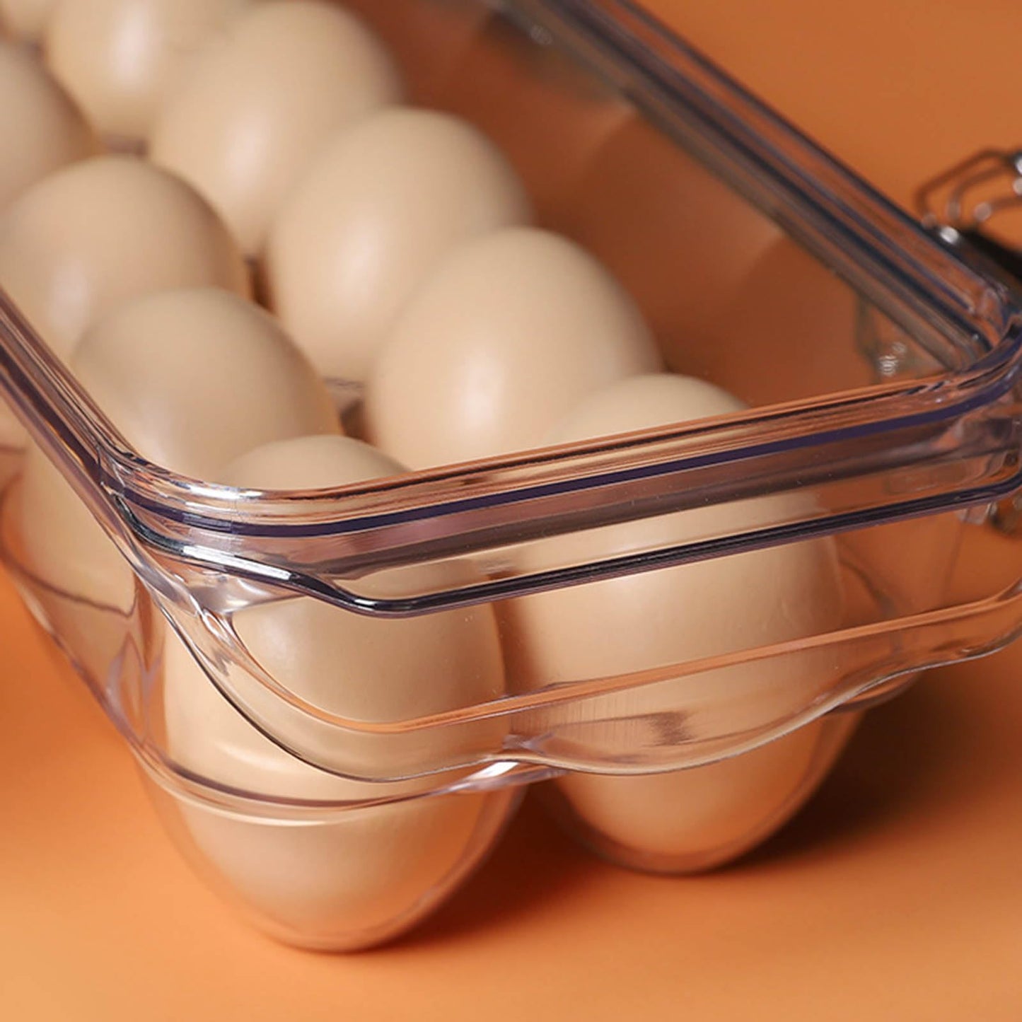 Acrylic Egg Box