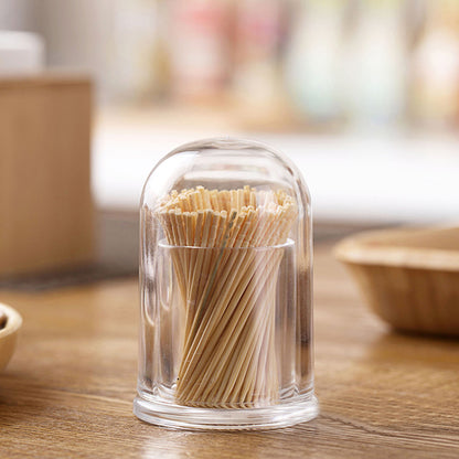 Acrylic Toothpick Holder