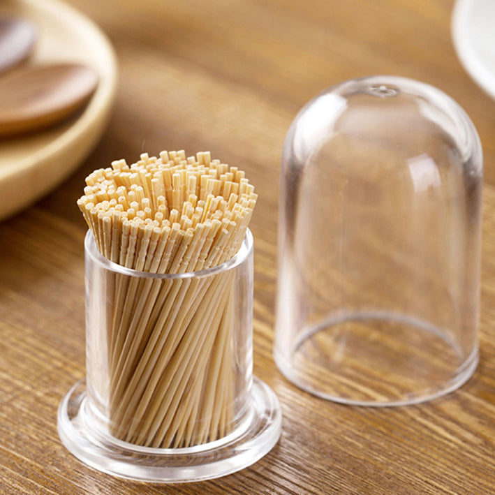 Acrylic Toothpick Holder